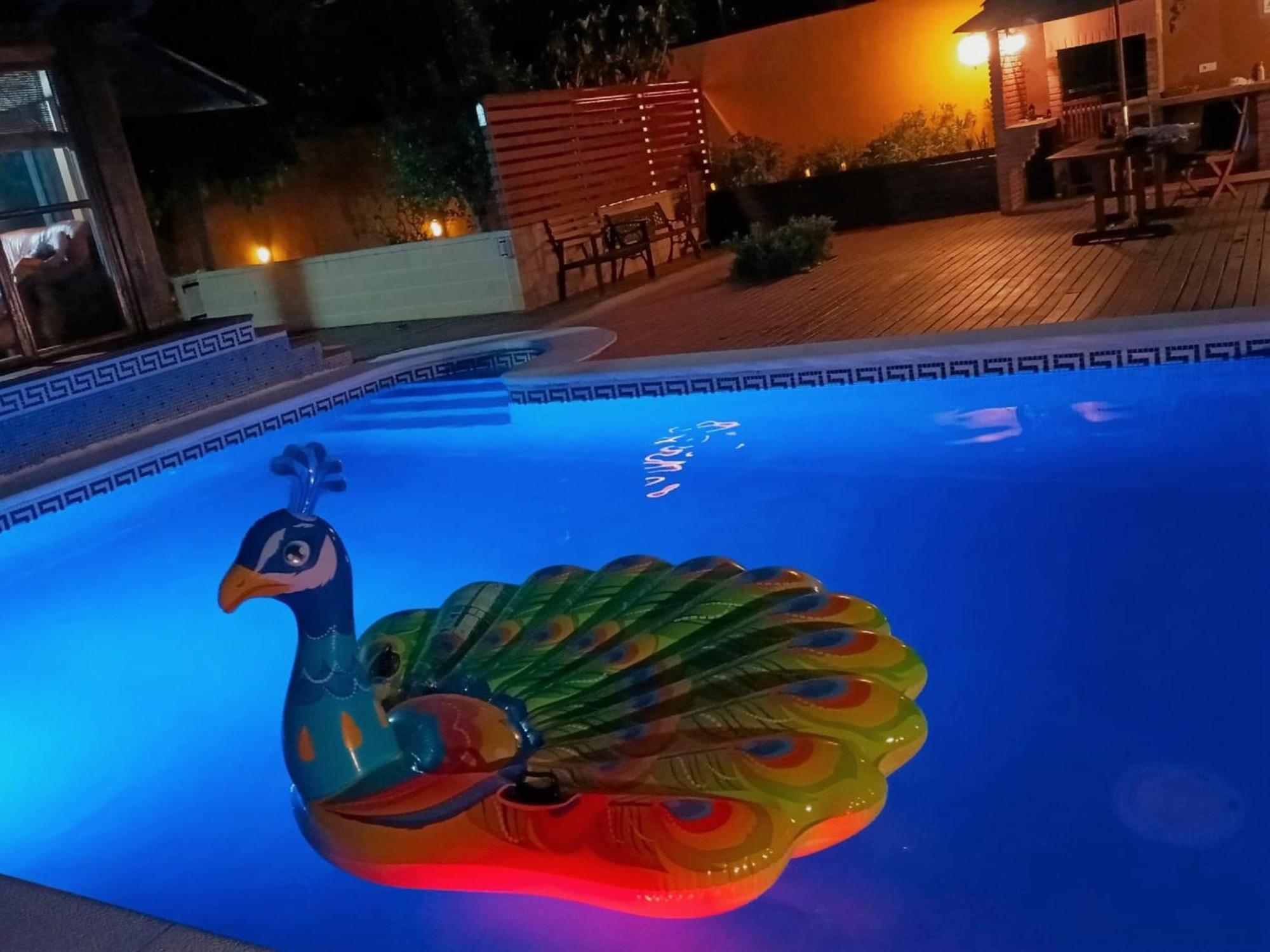 Villa Du Lac Speciale Pour Famille Avec Enfant Riudecanyes Dış mekan fotoğraf